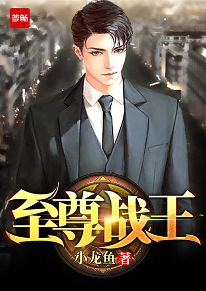 至尊战王境界 至尊战王境界