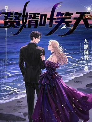 赘婿叶昊的