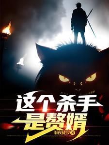 这个杀手是赘婿在线观看 这个杀手是赘婿在线观看