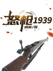 枪版怒火 枪版怒火