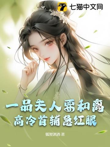 一品夫人简介 一品夫人简介