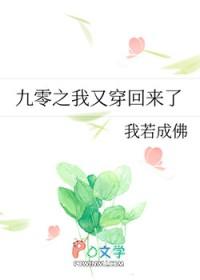 九零之大佬又追来了
