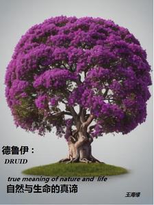 德鲁伊自然之力 德鲁伊自然之力