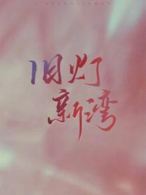 旧灯新湾txt宝书网 旧灯新湾txt宝书网