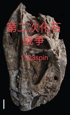 战争雷霆化石 战争雷霆化石