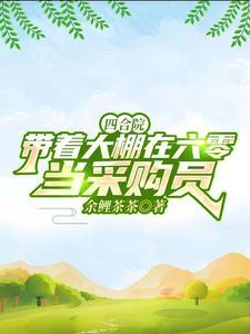 四合院开局得肥缺 四合院开局得肥缺