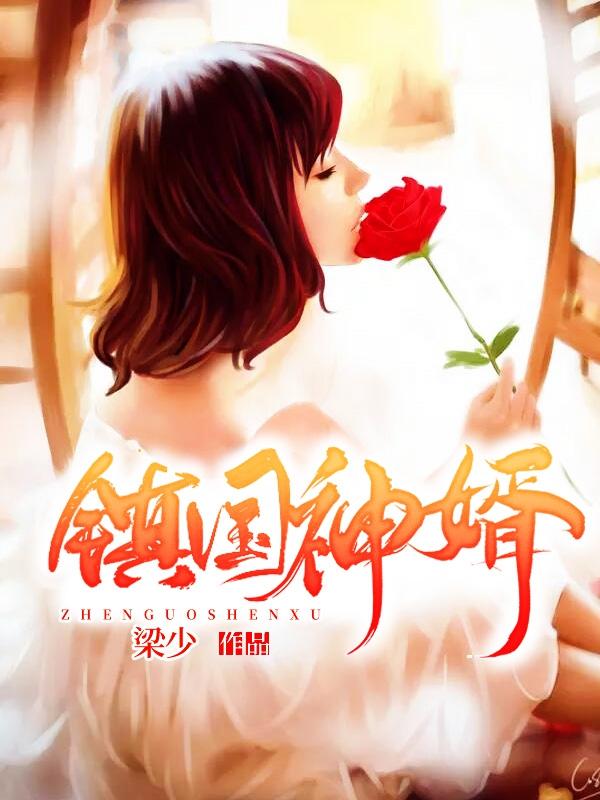 镇国神婿境界划分 镇国神婿境界划分