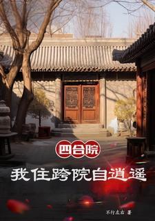 四合院我是棒梗 四合院我是棒梗