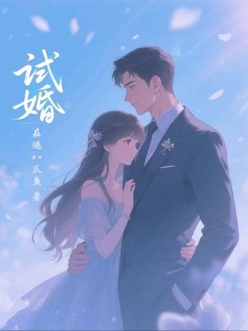 试婚老公 试婚老公