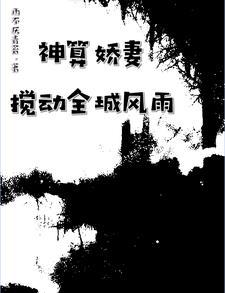 神算师 神算师