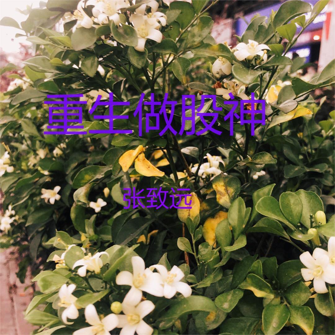 重生之金融巨头顶点 重生之金融巨头顶点