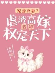 宠妾虐妻 宠妾虐妻