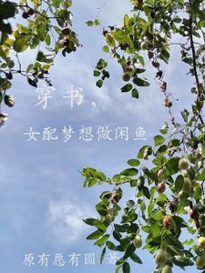 穿书女配她只想闲鱼 穿书女配她只想闲鱼