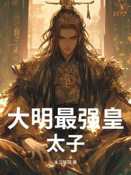 大明最强皇太子免费阅读 大明最强皇太子免费阅读