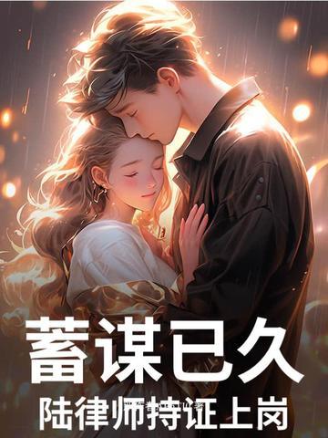 陆律师简历