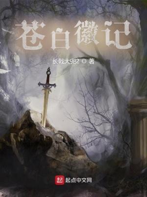 苍白之石位置