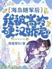 海岛随军的年代文 海岛随军的年代文