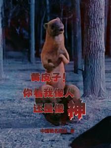 人皮帖子 人皮帖子