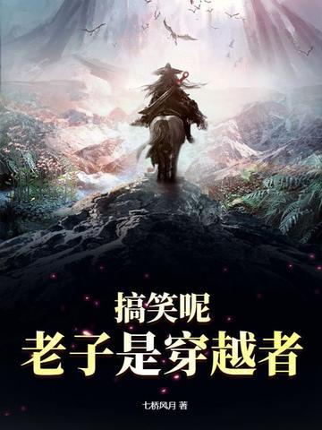 穿越之老子怎么了 穿越之老子怎么了