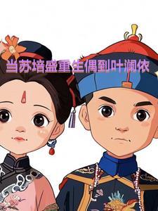 关于苏培盛的 关于苏培盛的