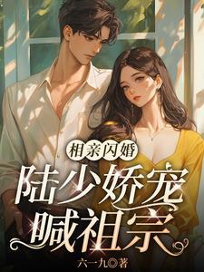 闪婚后爱甜宠 闪婚后爱甜宠
