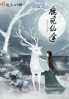 觅仙路剧情 觅仙路剧情
