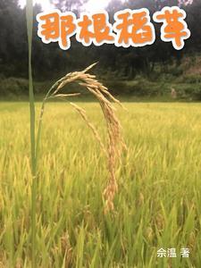 那根稻草还不知何时落在骆驼身上 那根稻草还不知何时落在骆驼身上