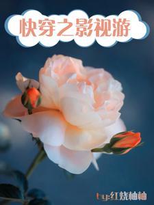 影视世界快穿文 影视世界快穿文