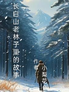 长白山深林 长白山深林