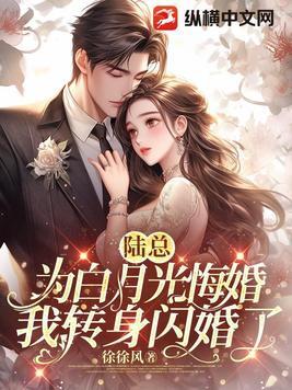我转身闪婚了简介 我转身闪婚了简介