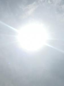 谢家子弟的典故是什么 谢家子弟的典故是什么