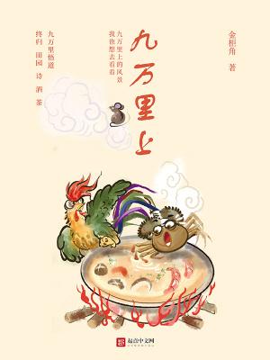 九万里w300 九万里w300