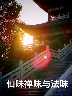 仙味禅味与法味哪个好 仙味禅味与法味哪个好