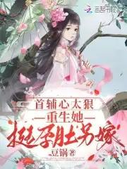 重生首辅 重生首辅
