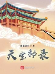 天宝txt 天宝txt
