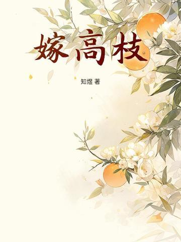 嫁高枝作者知煜 嫁高枝作者知煜