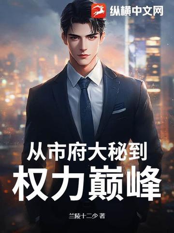 从市府大秘到权力巅峰最新 从市府大秘到权力巅峰最新