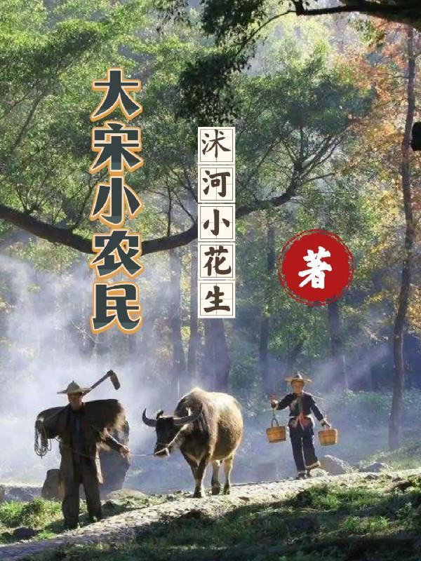 大宋小农民 沭河小花生 大宋小农民 沭河小花生