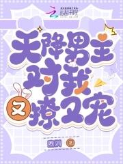 天降男神来抢婚免费 天降男神来抢婚免费
