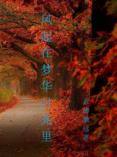 风起在梦华时光里 风起在梦华时光里