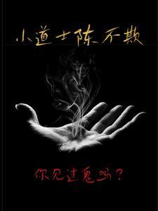 小道士陈不欺 小道士陈不欺